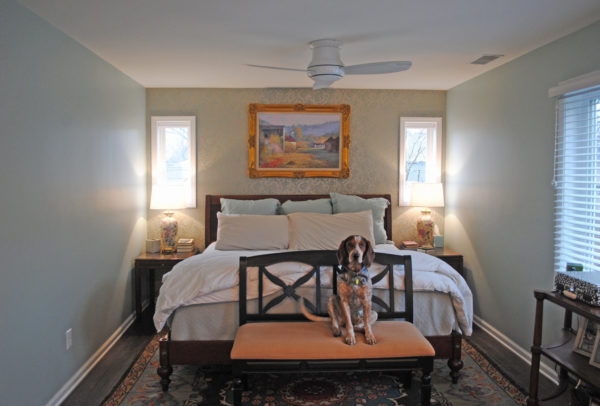 Dog sitting in cozy bedroom.