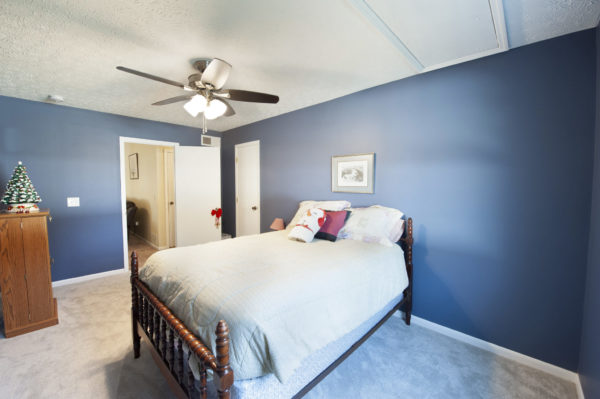 Bedroom with blue walls and ceiling fan.